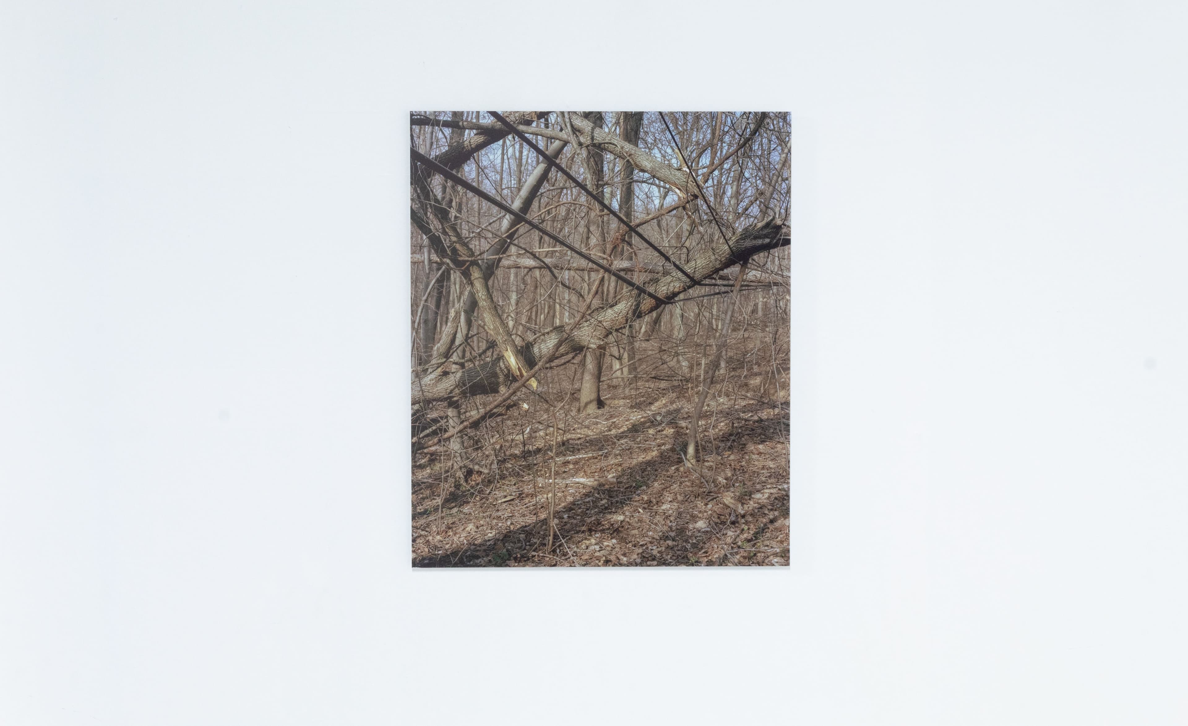 Micah Danges, Belmont Plateau (view 1), 2024, archival pigment print, 20 x 16 inches