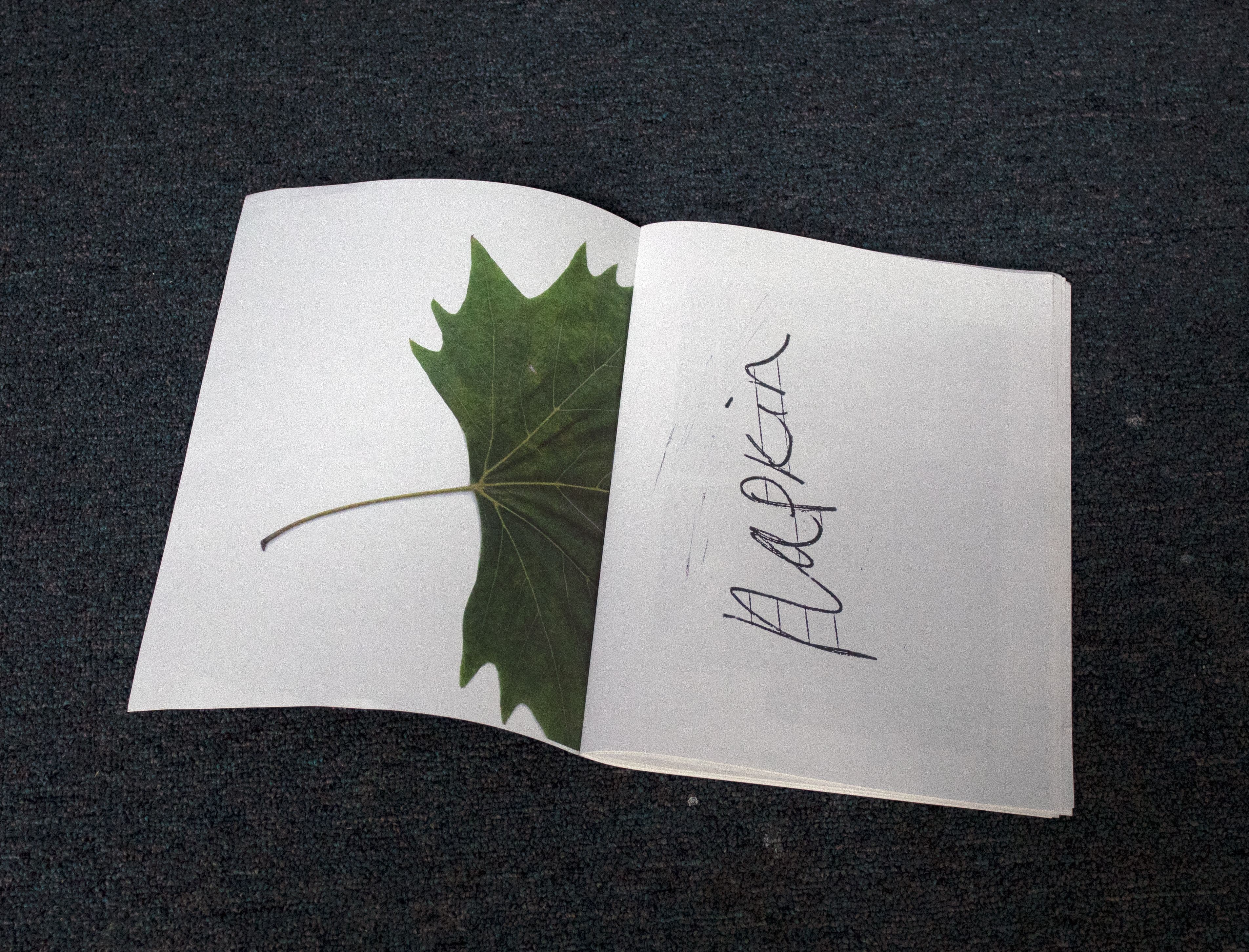 Hana Earles & Anabel Robinson