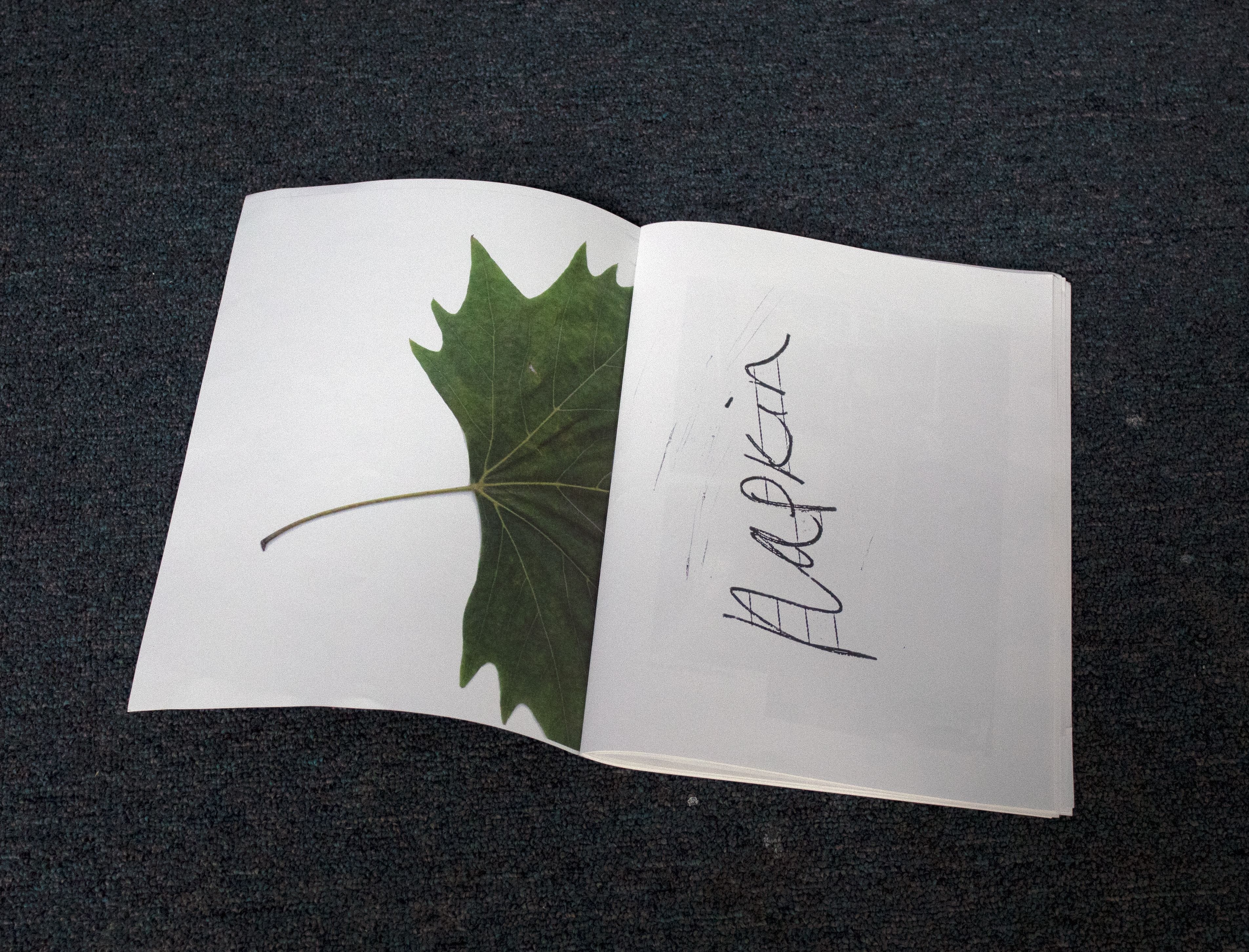 Hana Earles & Anabel Robinson