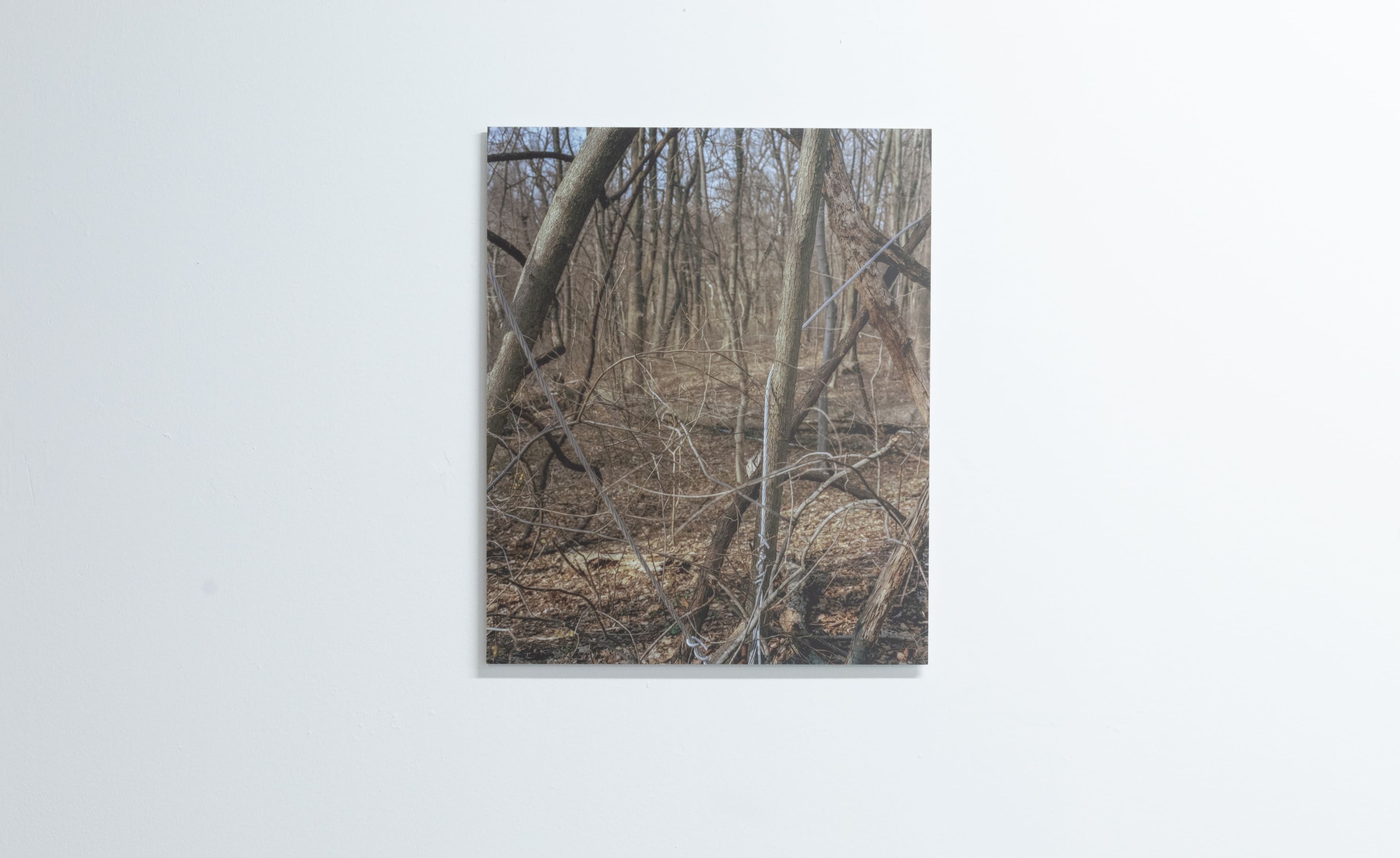 Micah Danges, Belmont Plateau (view 2), 2024, archival pigment print, 20 x 16 inches